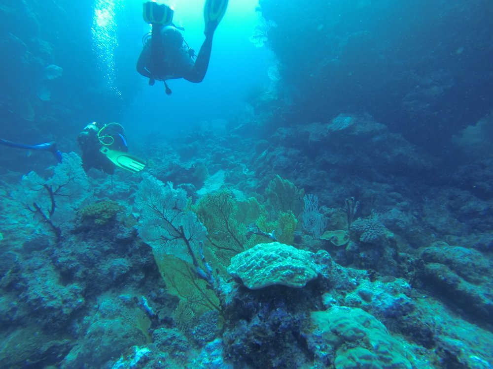 Tieti Diving-Poindimie必去景点