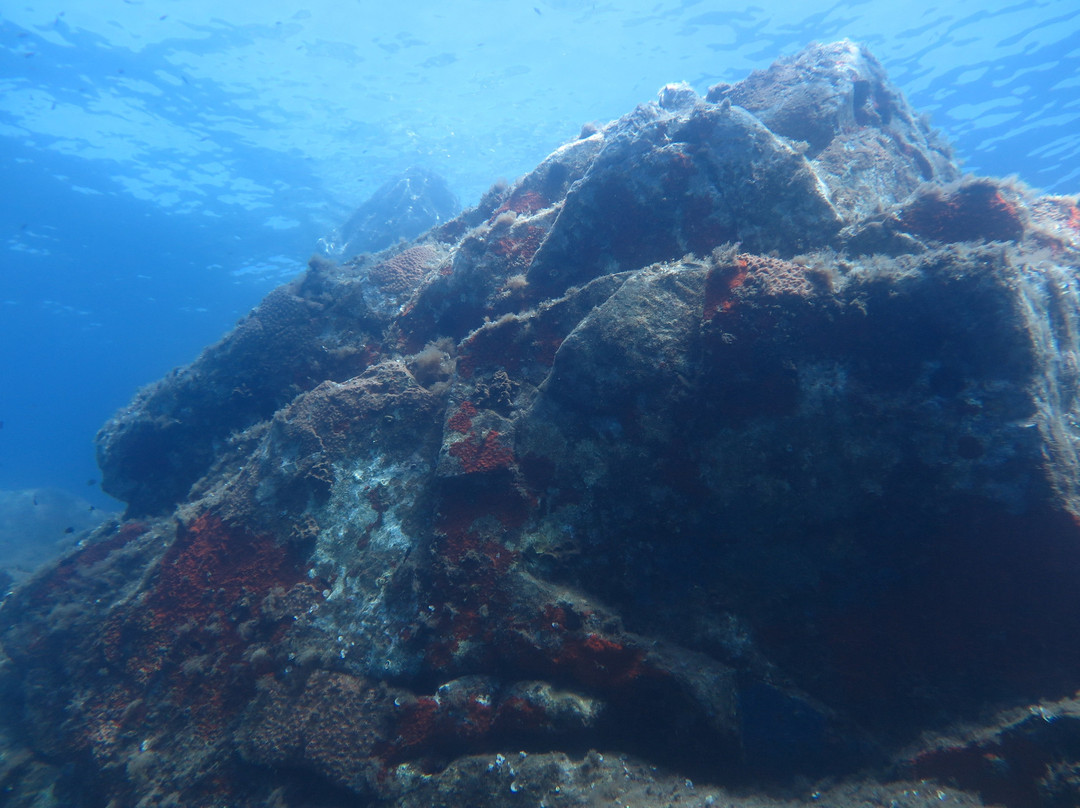 Centro Immersioni Sardegna景点图片