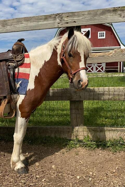 Patch 22-Wadsworth必去景点