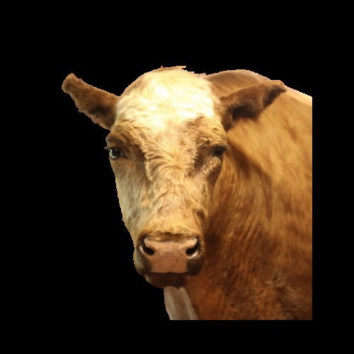 O'Fallon Historical Museum-Baker必去景点