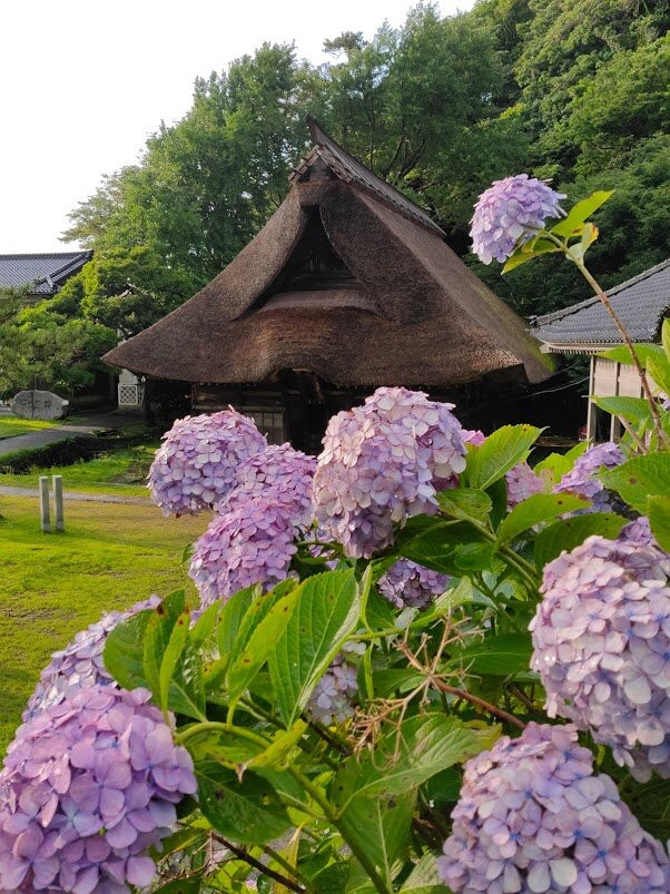 Nohakusan Shrine景点图片