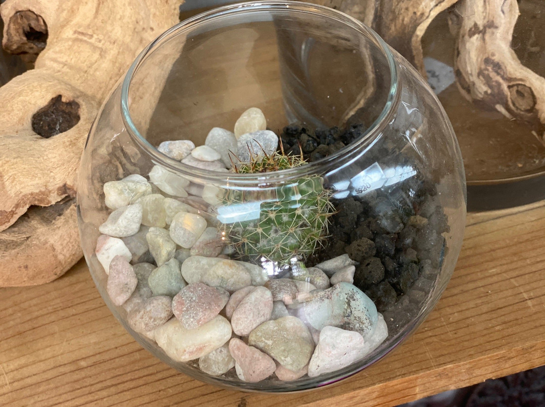 Mari's Gardens-米里拉尼必去景点