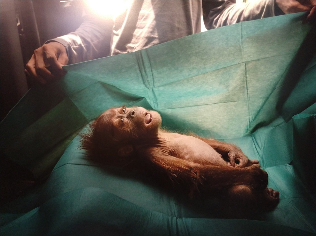 World Press Photo-阿姆斯特丹必去景点