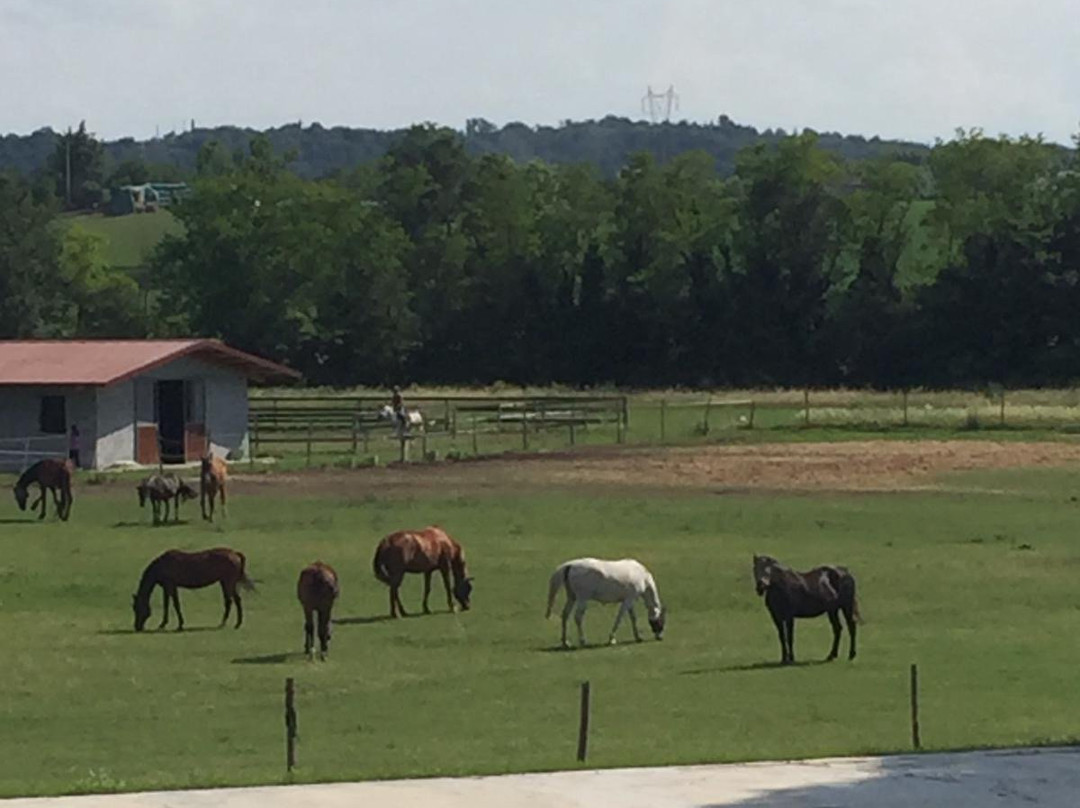 Eroma Agriturismo主图