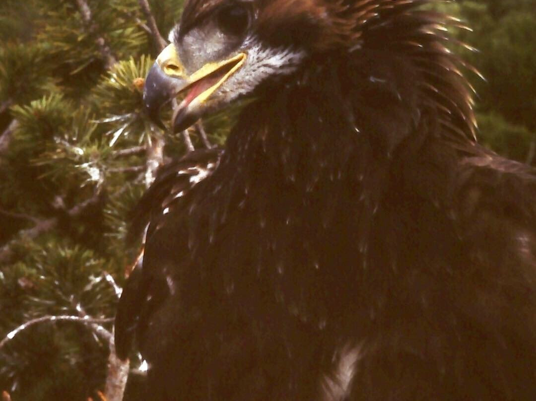 Ljungdalens Hemslojd & Cafe-Ljungdalen必去景点