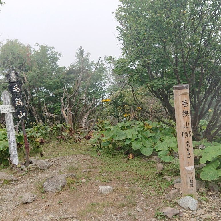 Mt. Kenashi景点图片