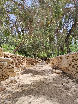 Ben Gurion Tomb-Sde Boker必去景点