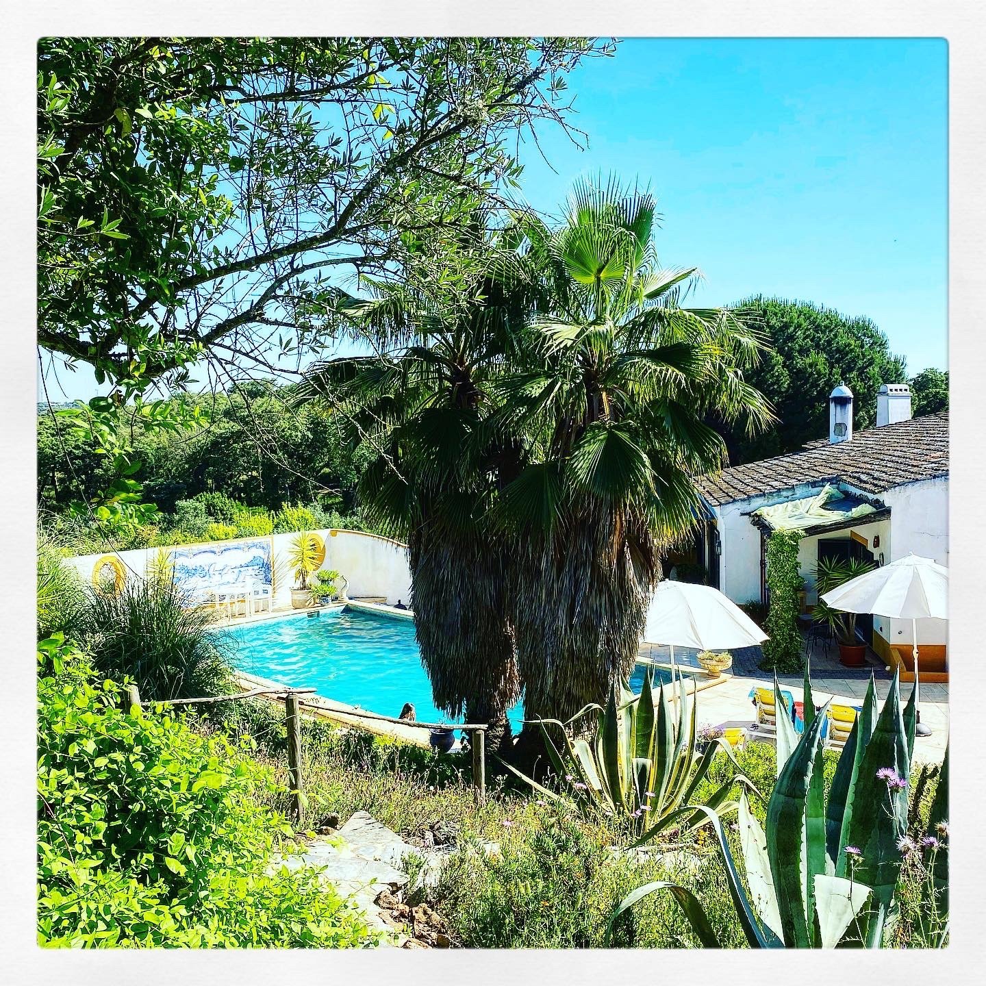 Quinta do Cano-官方