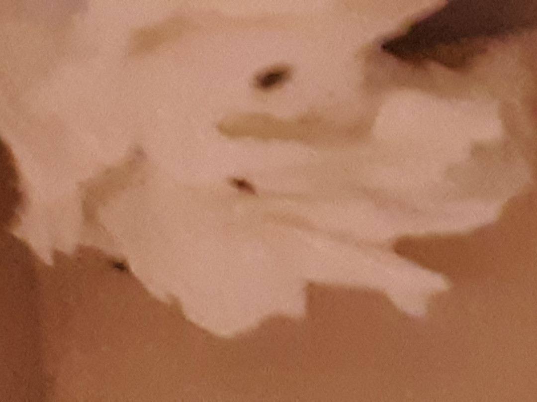 Super 8 by Wyndham Albany主图