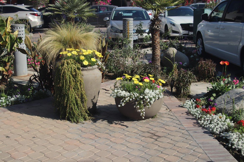 La Plaza-棕榈泉市必去景点