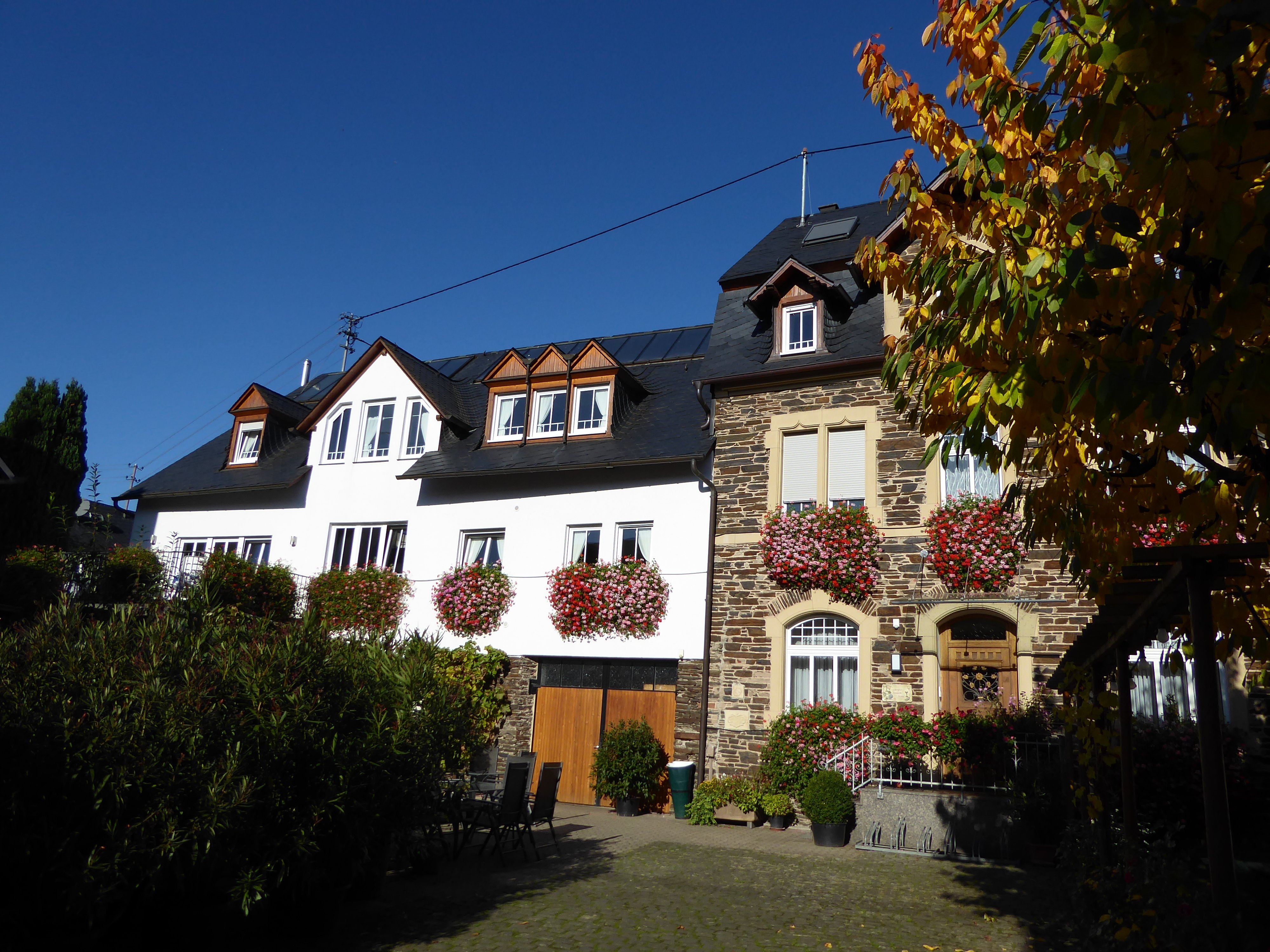 Kiebel - Weingut und Gästehaus-官方