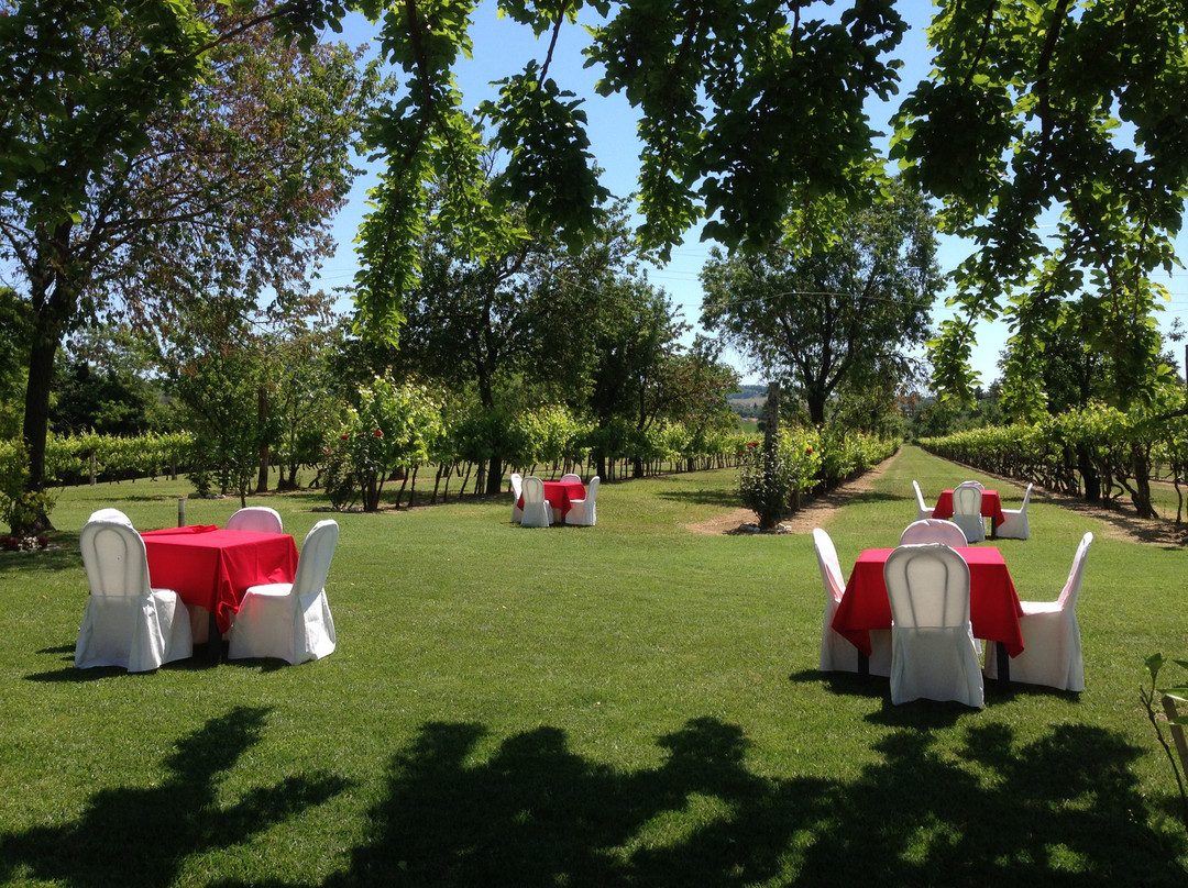 Azienda Agricola Mariotti Cesare景点图片