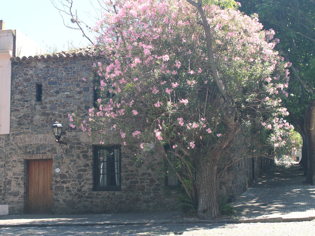 Plaza Mayor-科洛尼亚·德尔萨克拉门托城必去景点