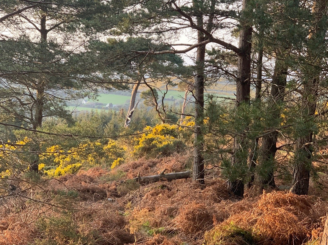 Ballycorus Lead Mines