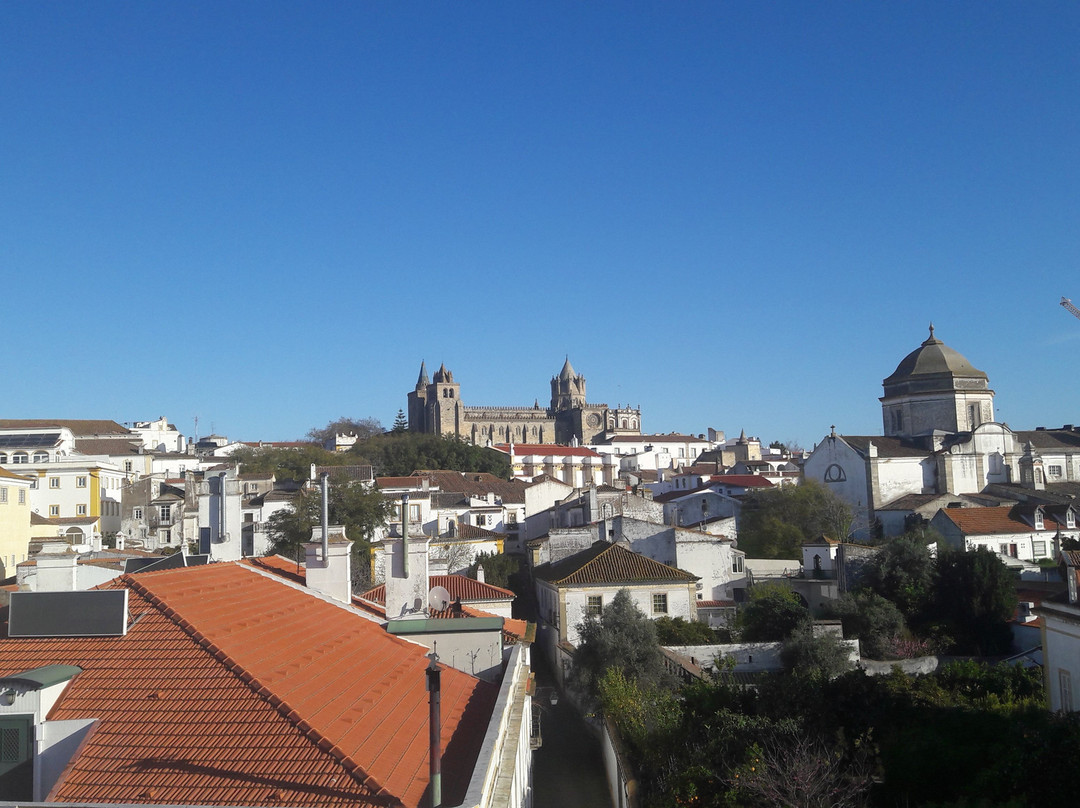 Evora Olive Hotel主图