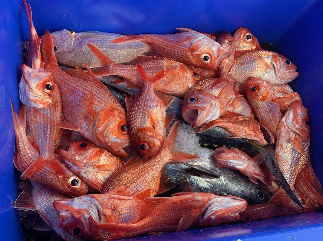 Go Get'Em Fishing Charters-维克多港必去景点