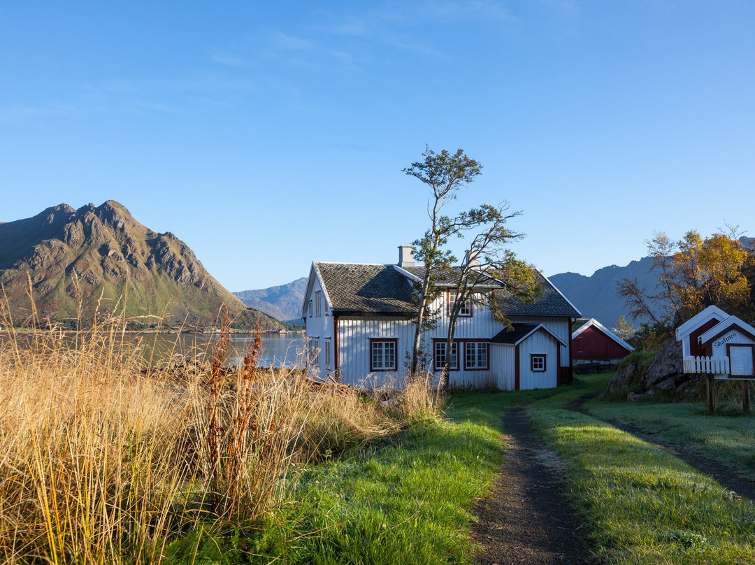 Skaftnes gård (farm)景点图片