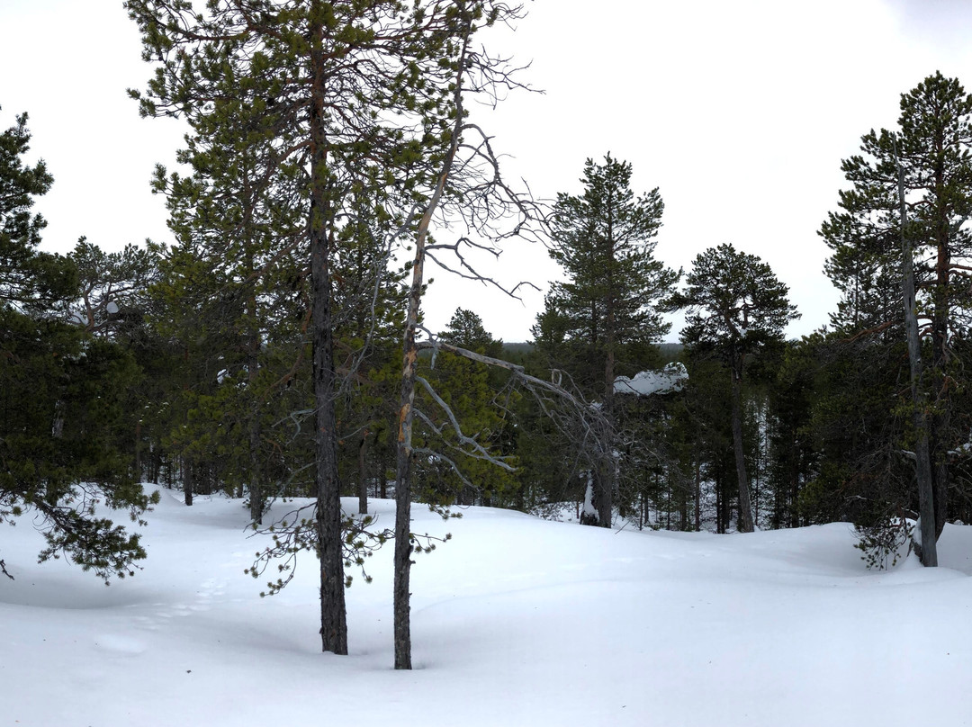 AT Nature-伊纳里必去景点