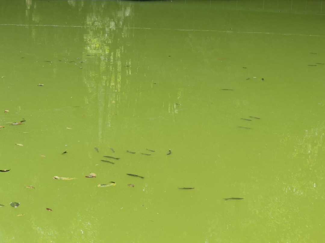 Lampokhari Lake-Aritar必去景点