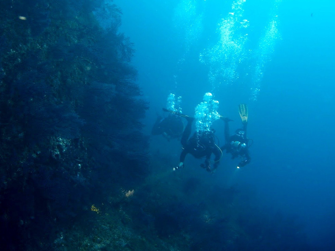 AixPlo Aix-en-Provence Plongée-普罗旺斯必去景点