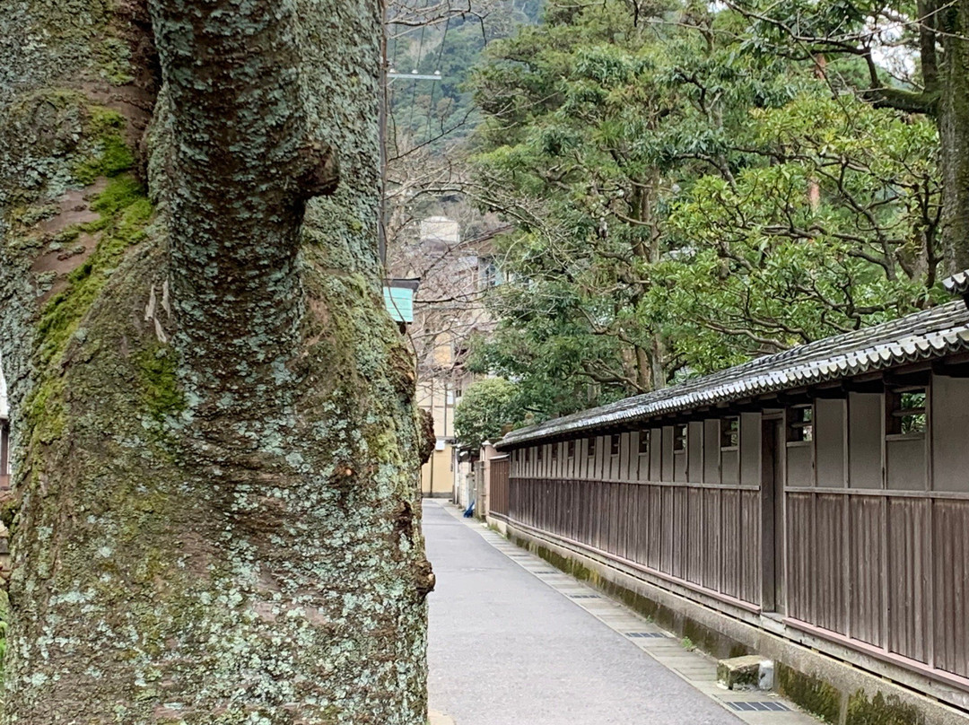 Kiyamachi Koji-丰冈市必去景点