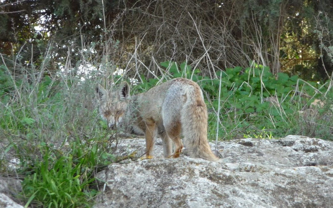 Nahal El Al-Avnei Eitan必去景点