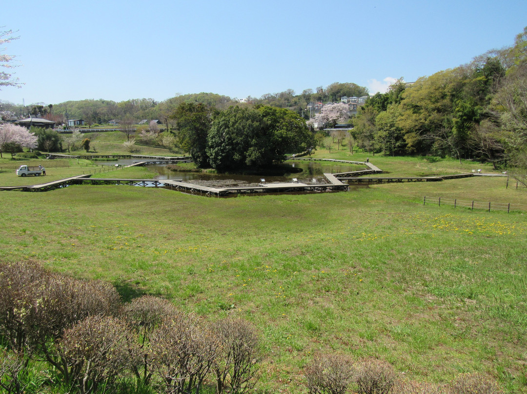 Isukushima Shissei Park景点图片