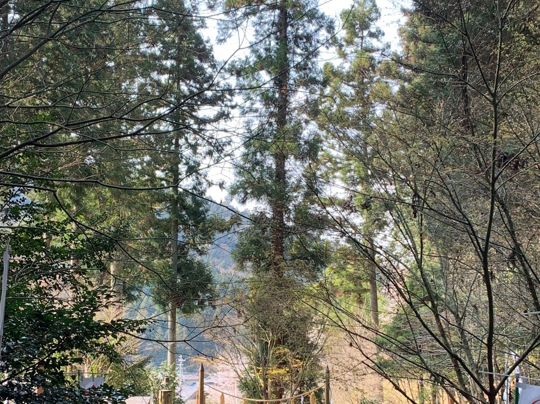 Michi-no-Eki Heisei-关市必去景点