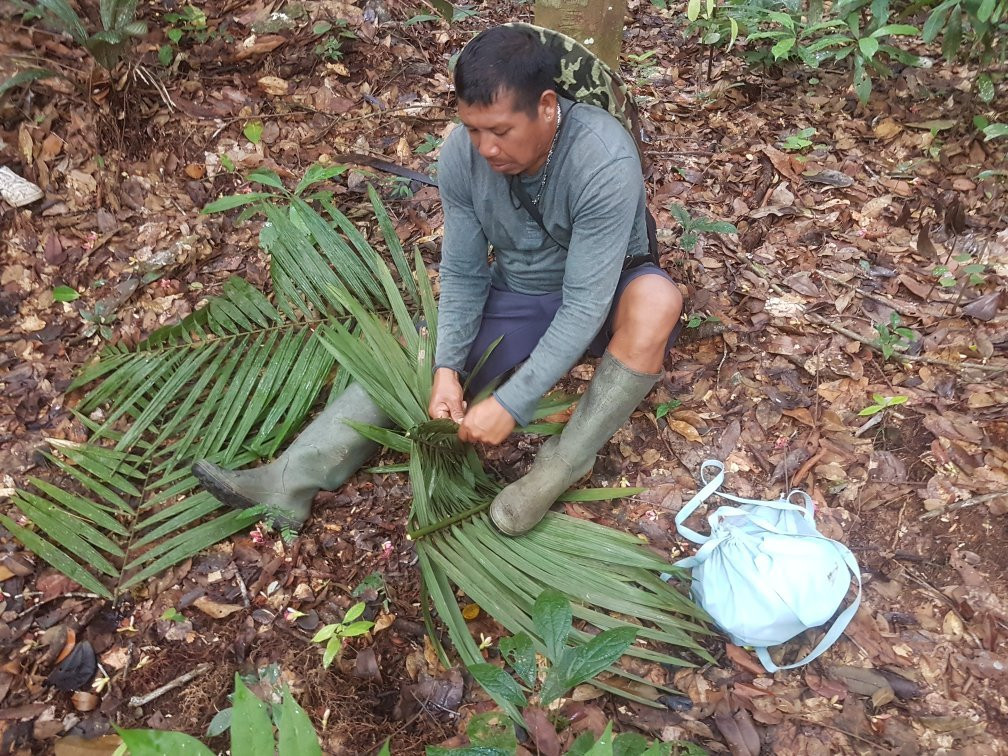 Suriname City Mosque-帕拉马里博必去景点
