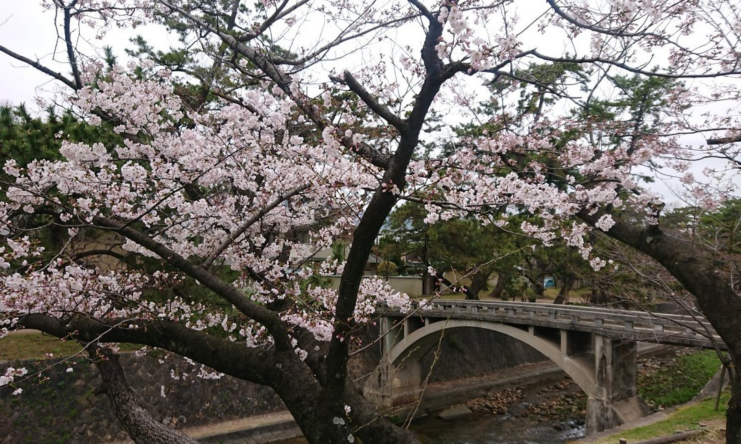 Shukugawa Park景点图片