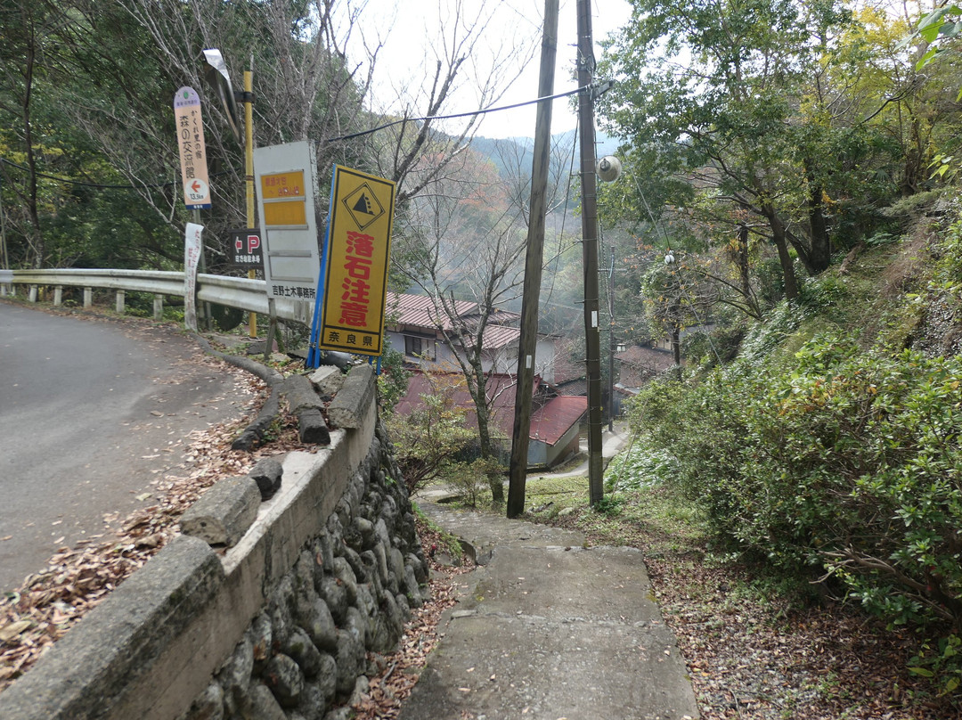 Dainichiji Temple景点图片