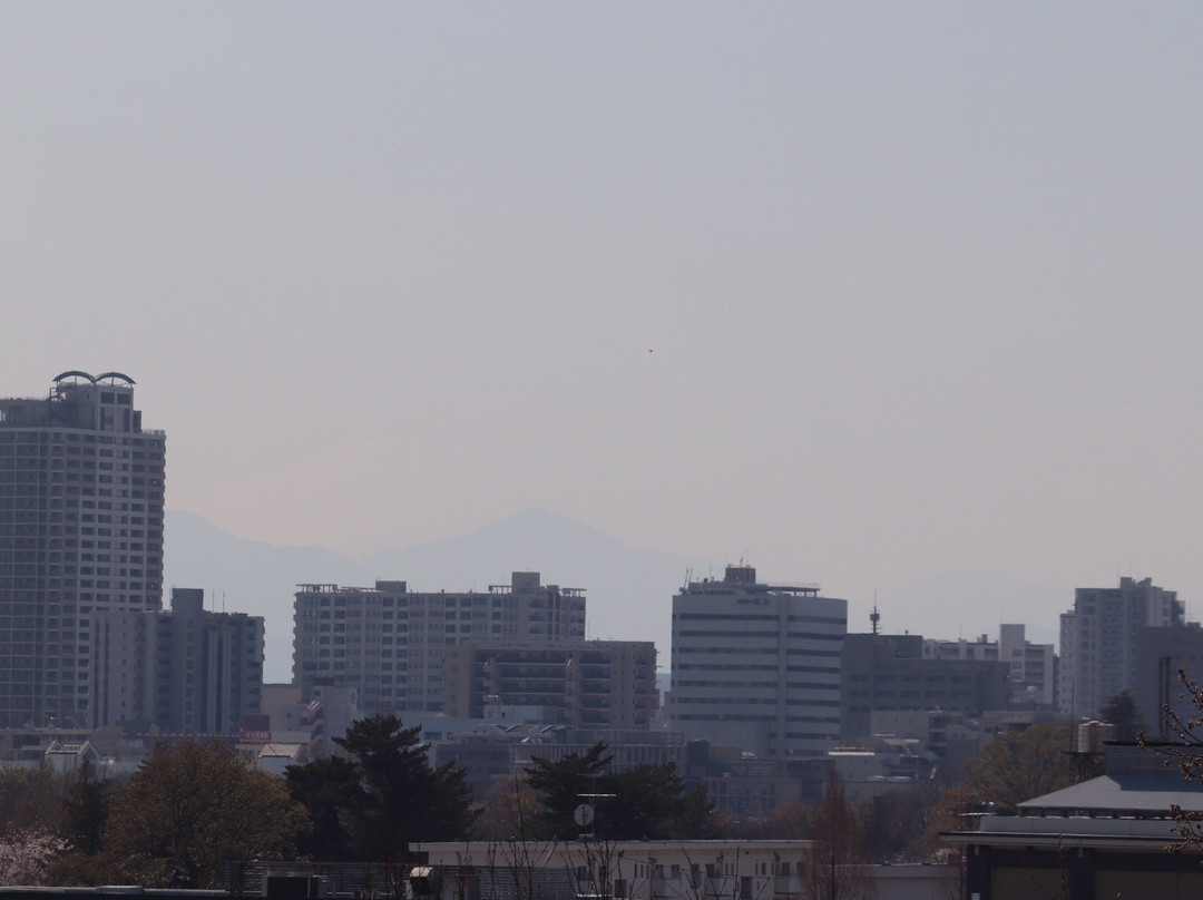 Sengenyama Park-府中市必去景点