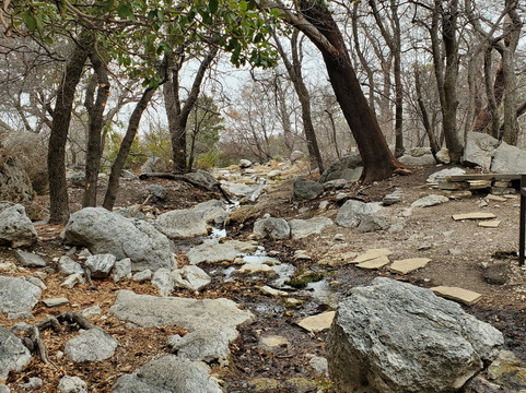 Smith Spring-Guadalupe Mountains National Park必去景点
