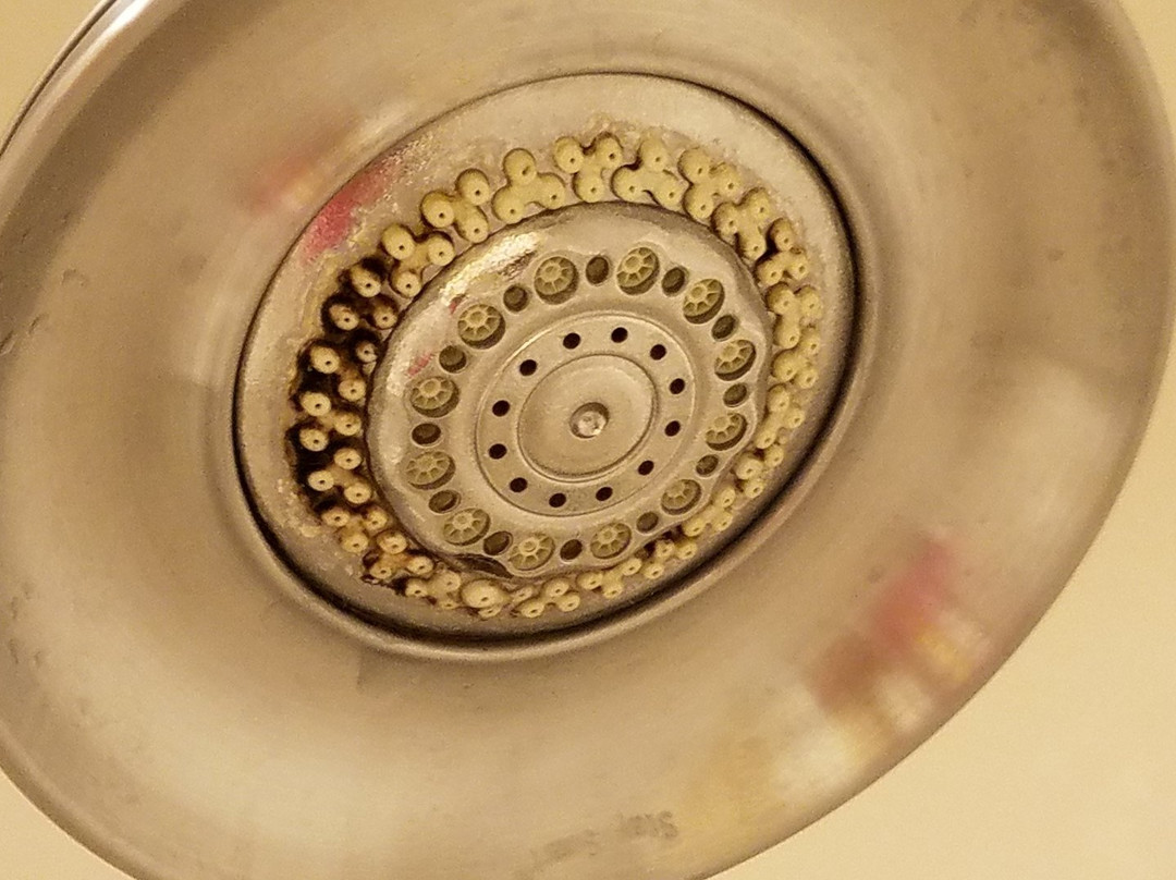 Wingate by Wyndham Waynesboro/Route 340主图