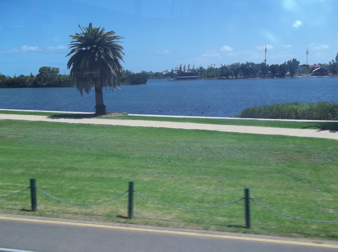Albert Park Lake景点图片
