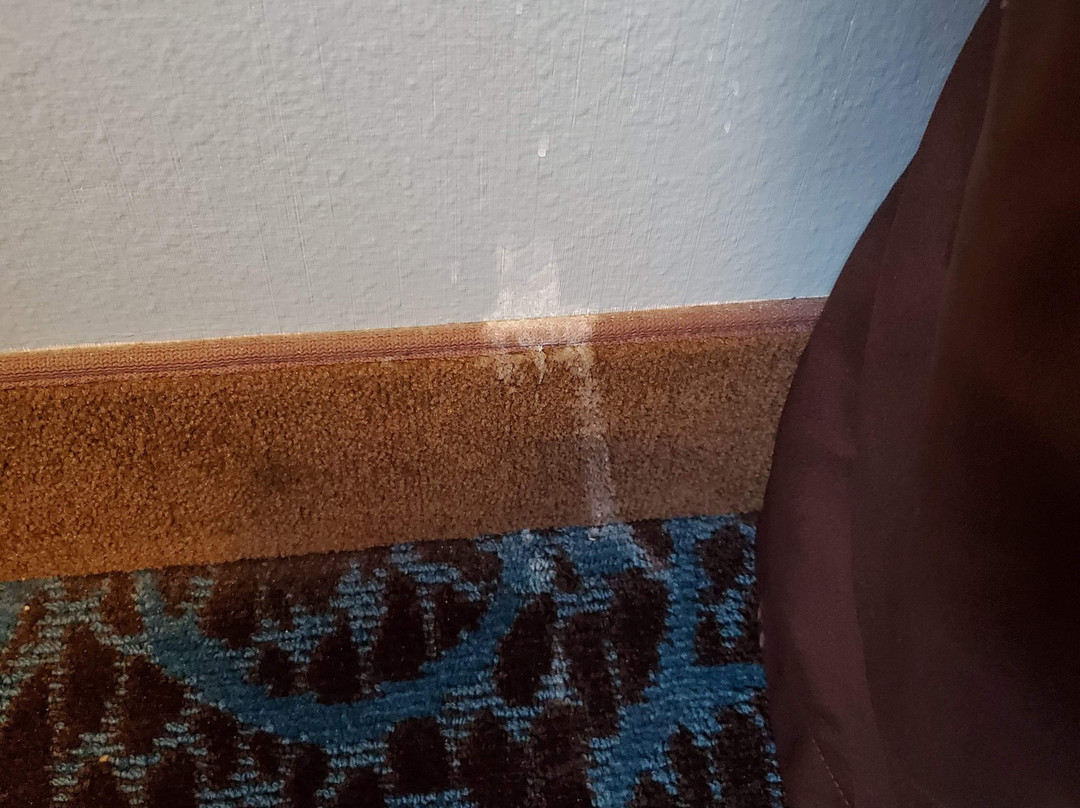 Super 8 by Wyndham Tucumcari主图