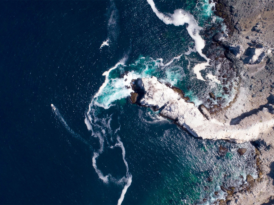 ExploraSub-Chanaral de Aceituno必去景点