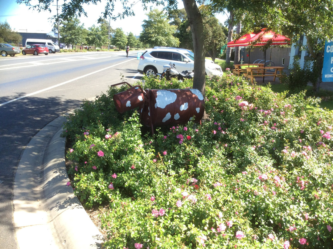 Cowwarr Cows-Cowwarr必去景点