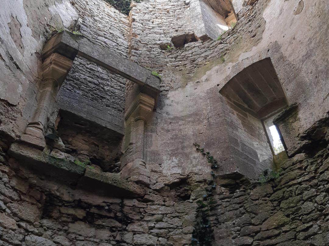 Chateau d'Aubigne-Aubigne-sur-Layon必去景点