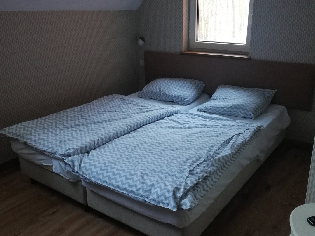 Dworek Lesny主图