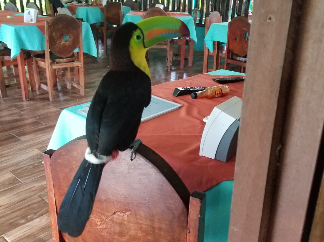 Posada Rio Celeste La Amistad主图