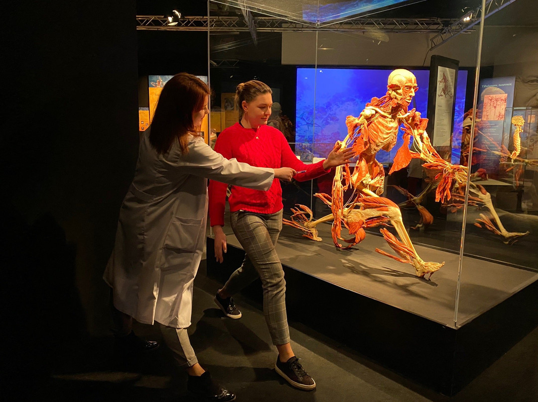 Body Worlds Tallinn景点图片
