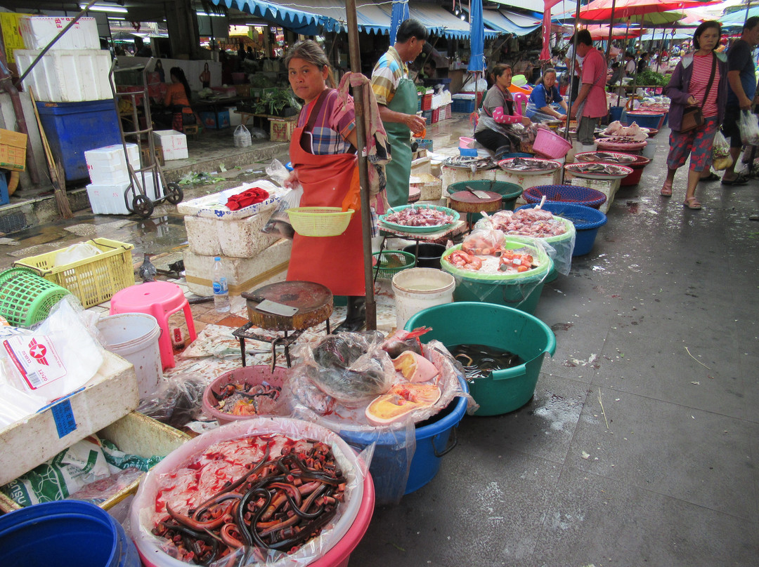 Khon Kaen's Day & Night Markets景点图片