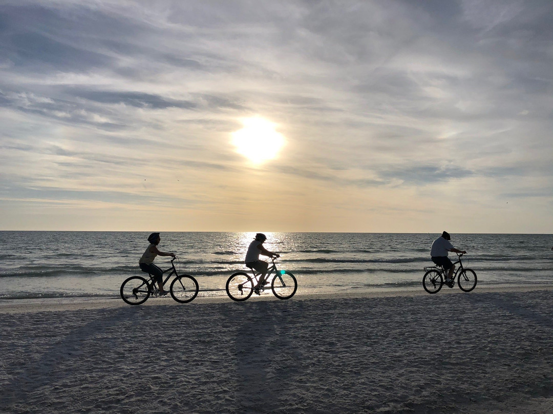 Sarasota Bike Tours景点图片