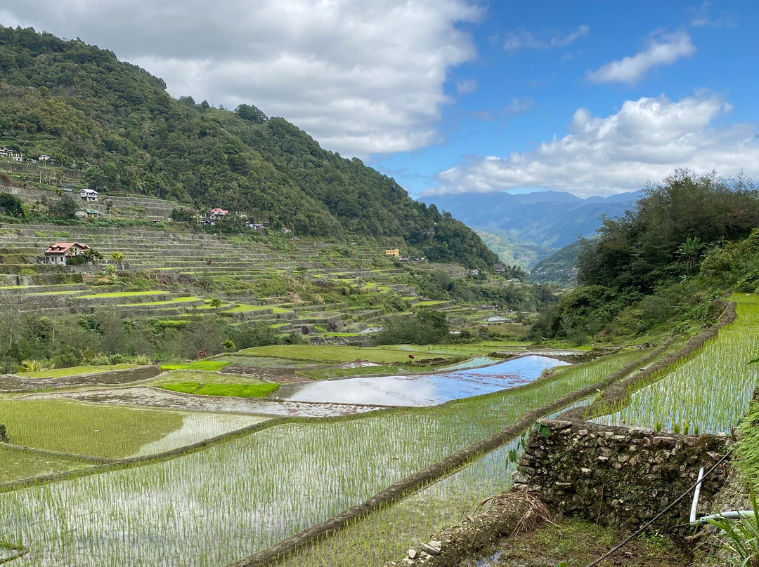 Hapao Rice Terraces景点图片