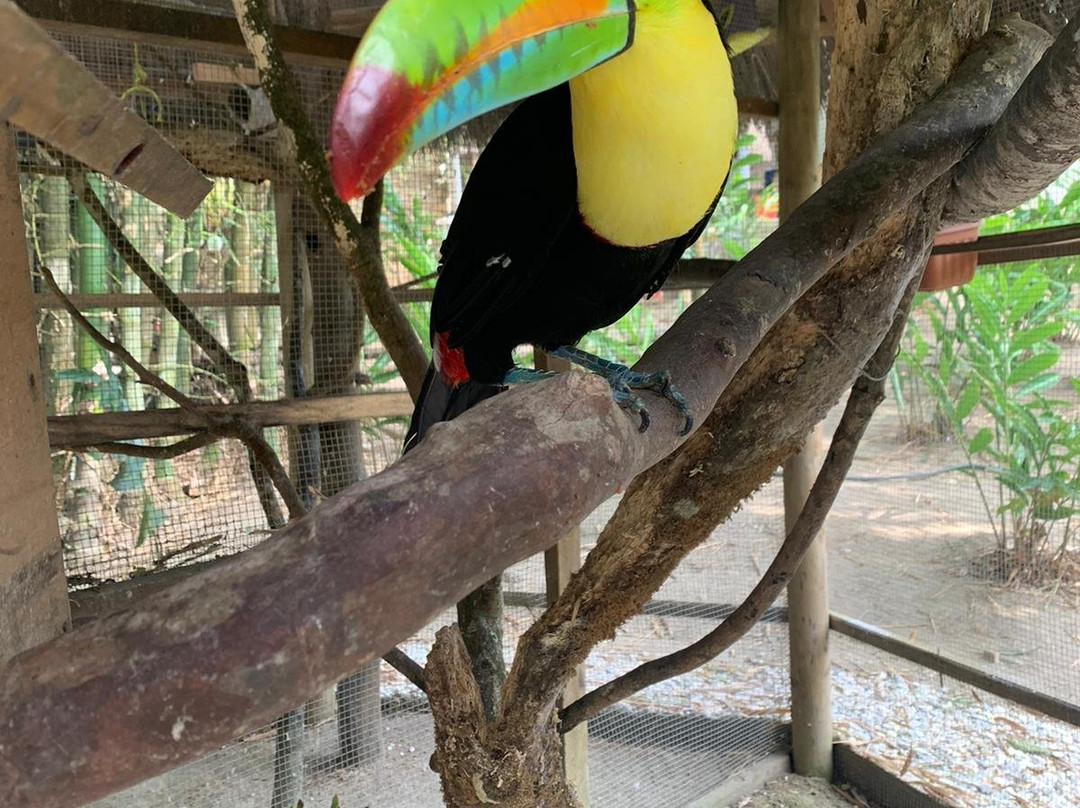 Aracataca酒店住宿-Reserva Natural Tierra Adentro Country House