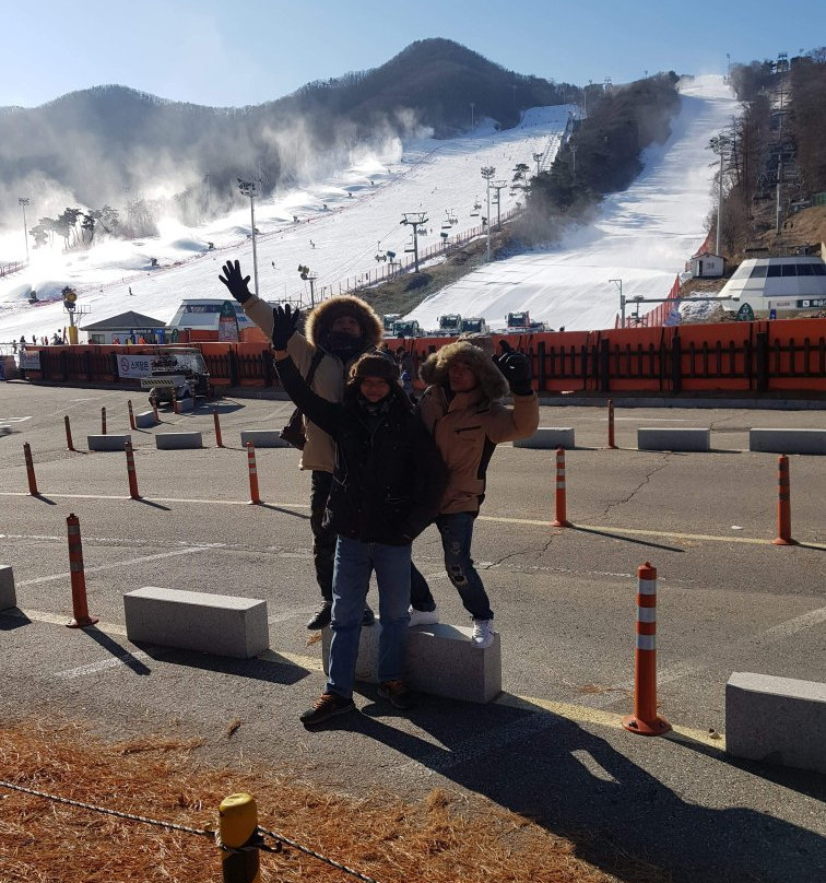 阳智松林滑雪场主图