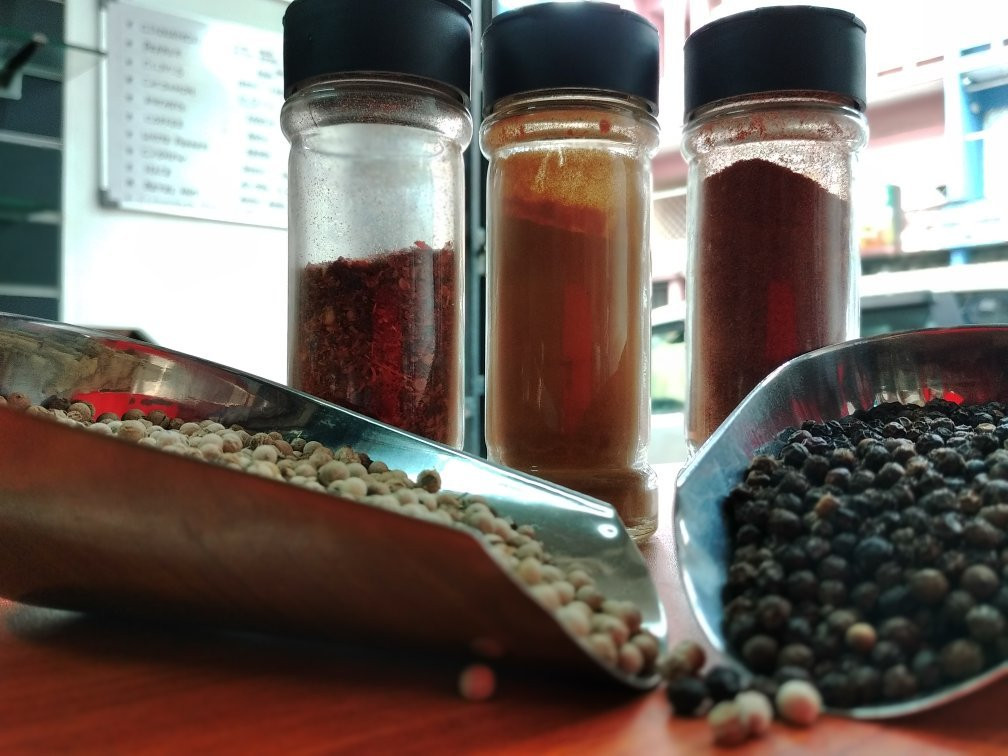 Singing Fish Tuk-科伦坡必去景点