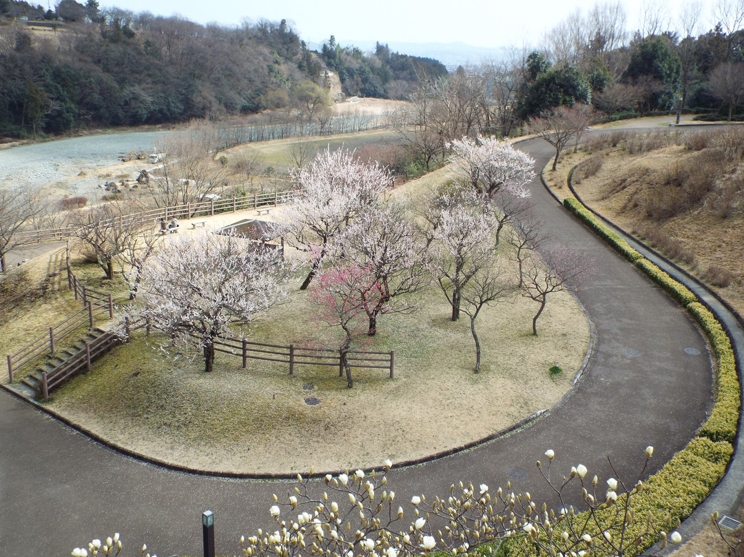 Hadano Togawa Park-秦野市必去景点