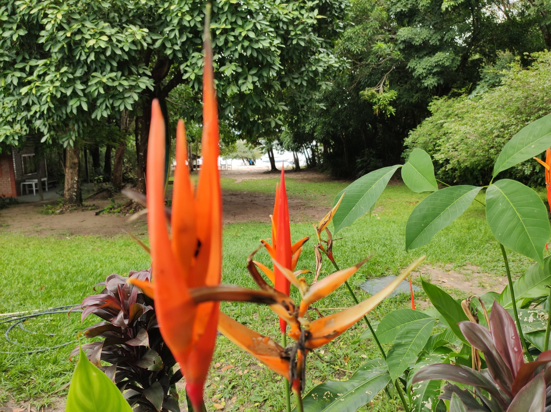 Beloalter Hotel主图